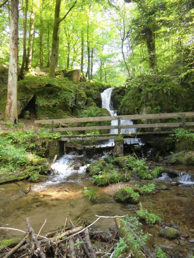 Waldgasthof Altersbach Waldkirch Zewnętrze zdjęcie